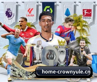 皇冠娱乐 APP(crownyule)